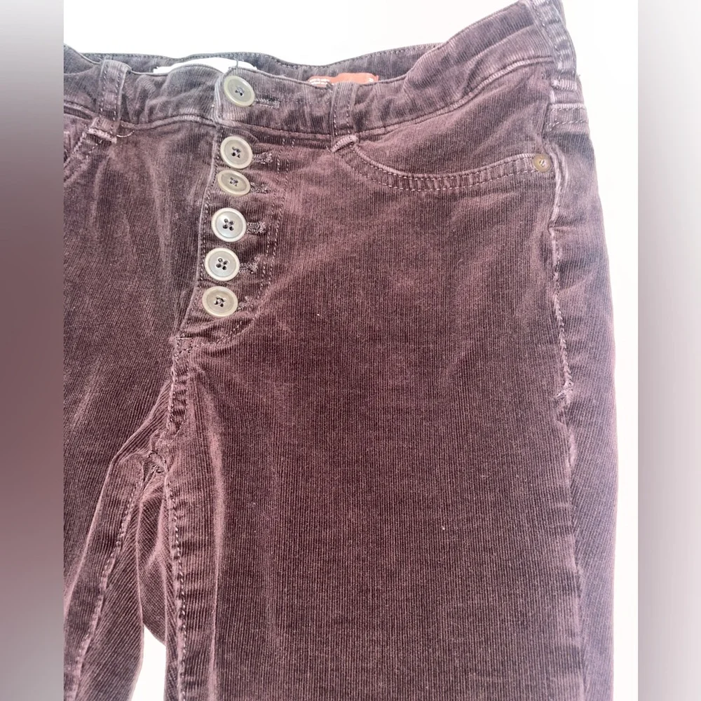Pilcro anthropologie corduroy